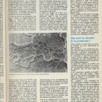 Le courrier du CNRS 13