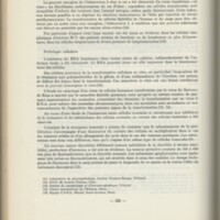 Rapport CNRS 1968