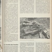 Le courrier du CNRS 3