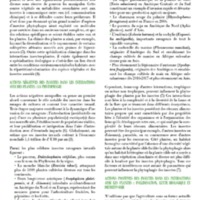 A3Magazine76Plantes_Page_18.jpg