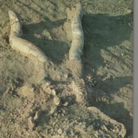 Le courrier du CNRS 11