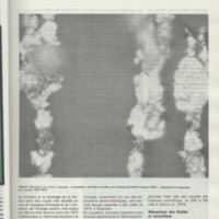 Rapport CNRS 1979-1980