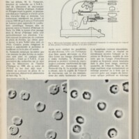 Le courrier du CNRS 4