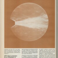 Le courrier du CNRS 23