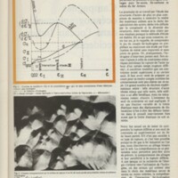 Le courrier du CNRS 17