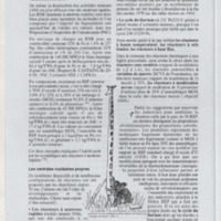 Bulletin de l'Association des anciens et des amis du CNRS n°15