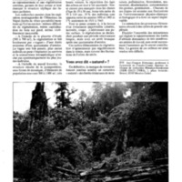 courrier cnrs 72_Page_055.jpg