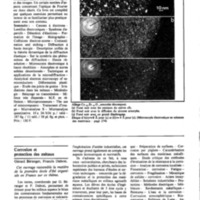 courrier cnrs 52-53_Page_78.jpg