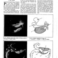 courrier cnrs 50_Page_32.jpg