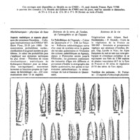 courrier cnrs 44_Page_44.jpg
