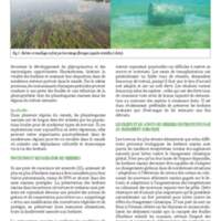 A3Magazine76Plantes_Page_31.jpg