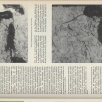 Le courrier du CNRS 10