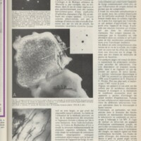 Le courrier du CNRS 11