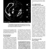 courrier cnrs 75_Page_41.jpg