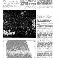 courrier cnrs 40_Page_41.jpg