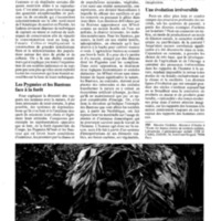 courrier cnrs 72_Page_069.jpg