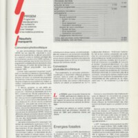 Rapport CNRS 1984