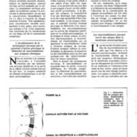 courrier cnrs 55-56_Page_18.jpg