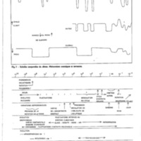 courrier cnrs soleil_Page_31.jpg