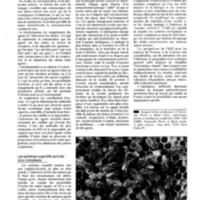 courrier cnrs 80_Page_090.jpg