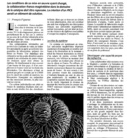 courrier cnrs 78_Page_63.jpg