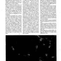 courrier cnrs 66-67-68_Page_042.jpg