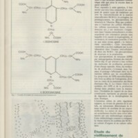 Le courrier du CNRS 19