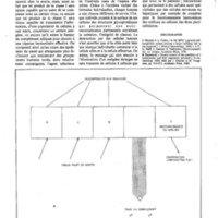 courrier cnrs 41_Page_49.jpg