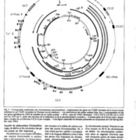 courrier cnrs 41_Page_19.jpg