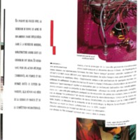 rapport 1988_019.jpg