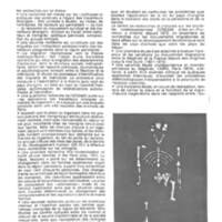 Rapport CNRS 1974-science_204.jpg