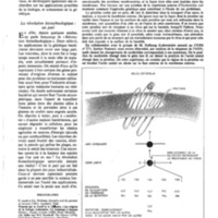 courrier cnrs 41_Page_16.jpg