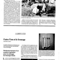 courrier cnrs 61-62_Page_59.jpg