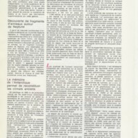 Rapport CNRS 1985
