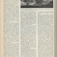 Le courrier du CNRS 6