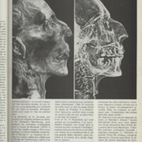 Le courrier du CNRS 28