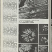 Le courrier du CNRS 28