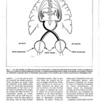 courrier cnrs 55-56_Page_72.jpg