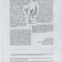 Bulletin de l'Association des anciens et des amis du CNRS n°18