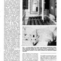 courrier cnrs 57_Page_25.jpg