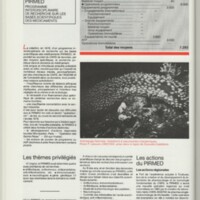 Rapport CNRS 1981-1982