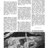 courrier cnrs 51_Page_51.jpg