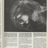 Le courrier du CNRS 27