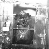 rapport 1970_200.jpg