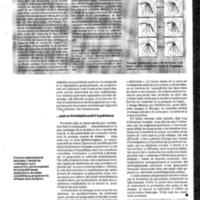 courrier cnrs 65_Page_23.jpg