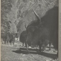 Le courrier du CNRS 30