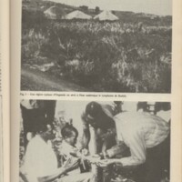 Le courrier du CNRS 34