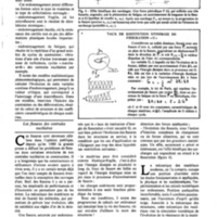 courrier cnrs 52-53_Page_16.jpg