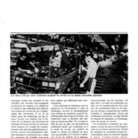 courrier cnrs 44_Page_15.jpg