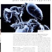 rapport 1988_017.jpg